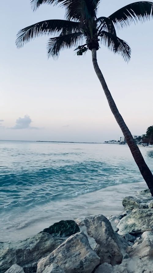 Wave Crashing in the Shore in a Slow Motion