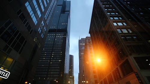 Skyscrapers Seen From Street Level