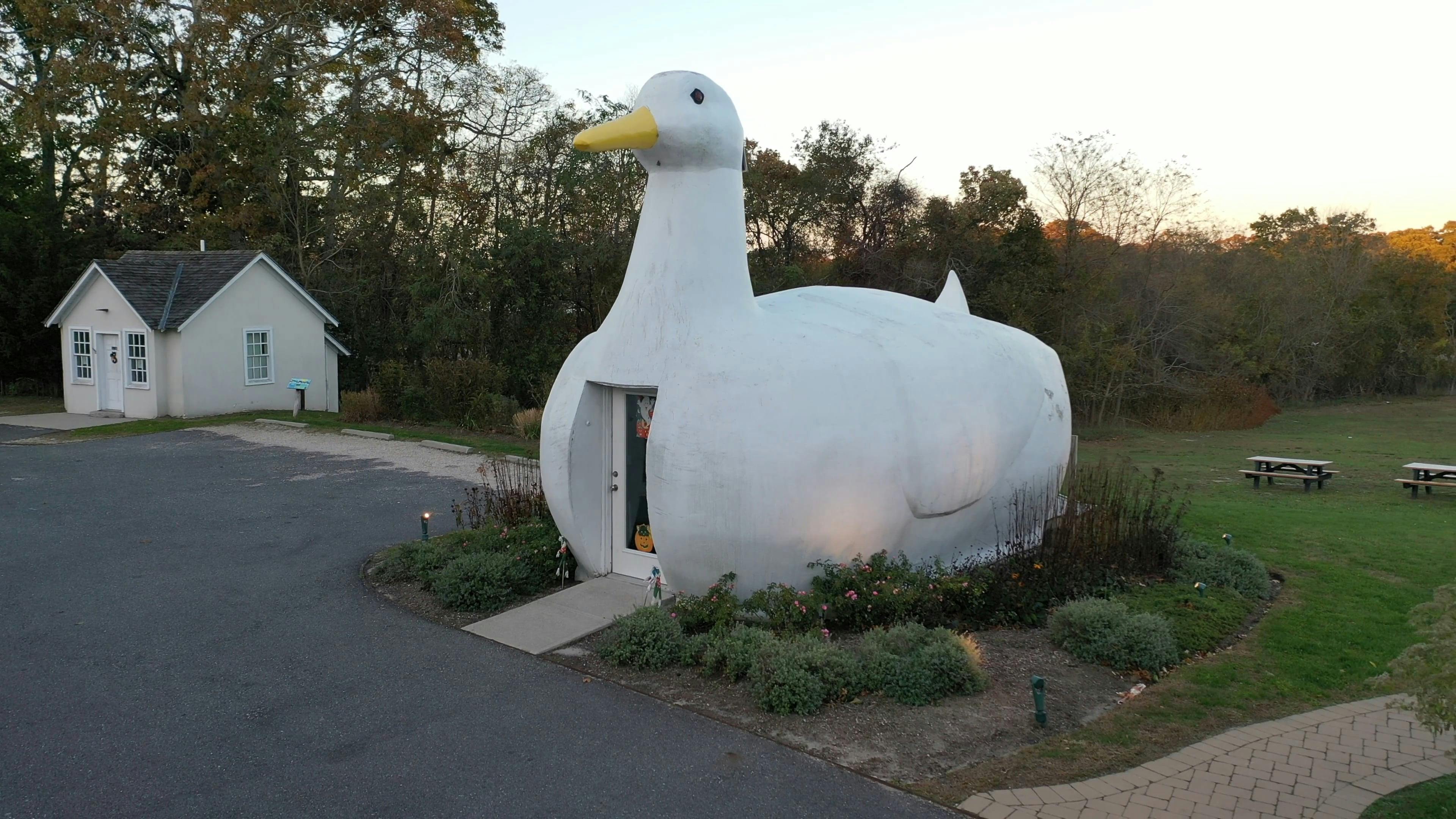 Aerial Video of Duck Shaped Building Free Stock Video Footage, Royalty-Free  4K & HD Video Clip