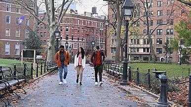 three friends walking in a park