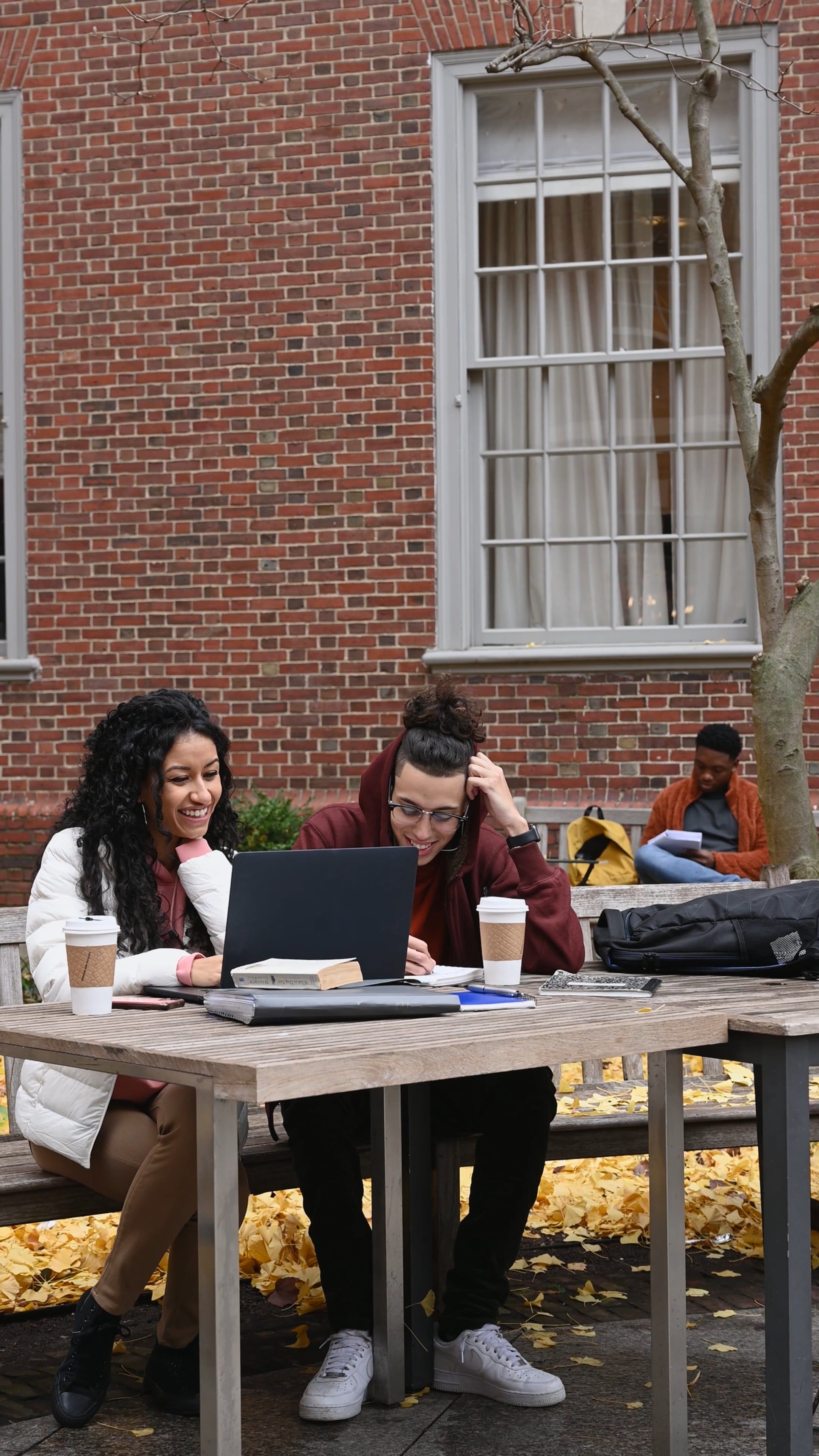 A Group Of Students Using A Laptop On Their Studies Free Stock Video a-group-of-students-using-a-laptop-on-their-studies-free-stock-video