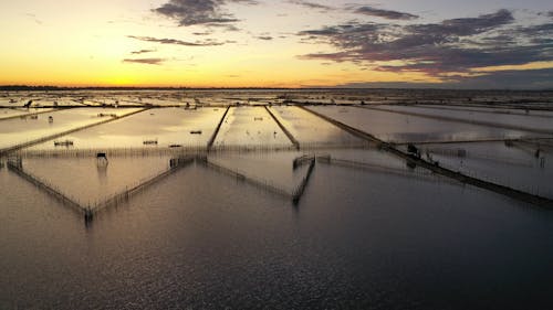 Aerial View of Fishing Farms