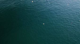 海面航拍高清视频免费下载免费下载免费下载视频素材
