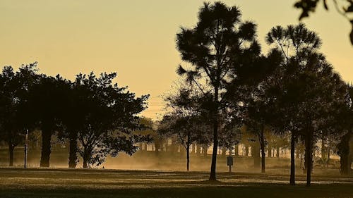 A Foggy Sunrise at the Park