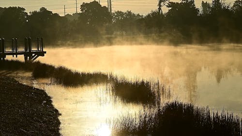 A Misty Morning at the Lake