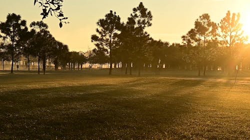 Sunrise at the Park