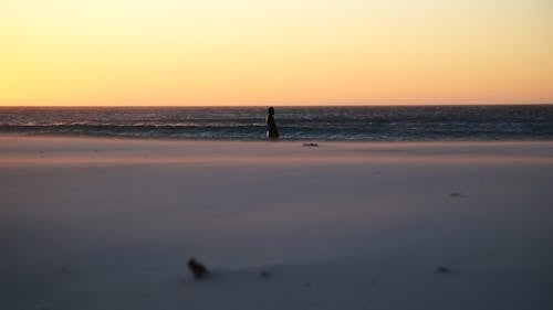 A Person Walking at the Beach