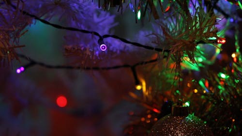 Close Up Video of Christmas Lights