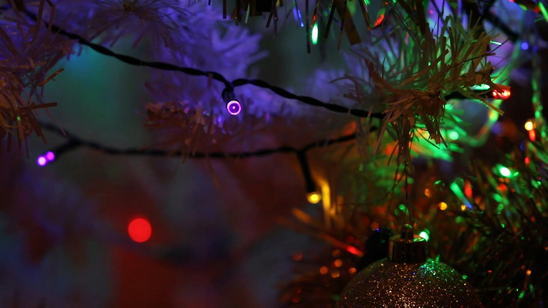 Close Up Video of Christmas Lights · Free Stock Video