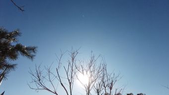 治愈系视频高清视频视频素材免费下载视频素材