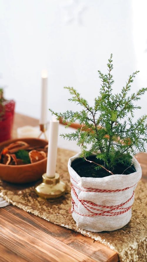 Christmas Table Setup