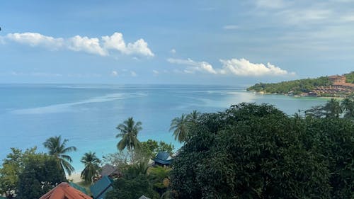 Tropical Beach Under Blue Sky