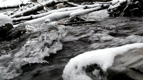 Running Water Under Snow Covered Wood