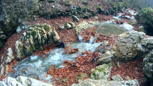 A Running Water in the River