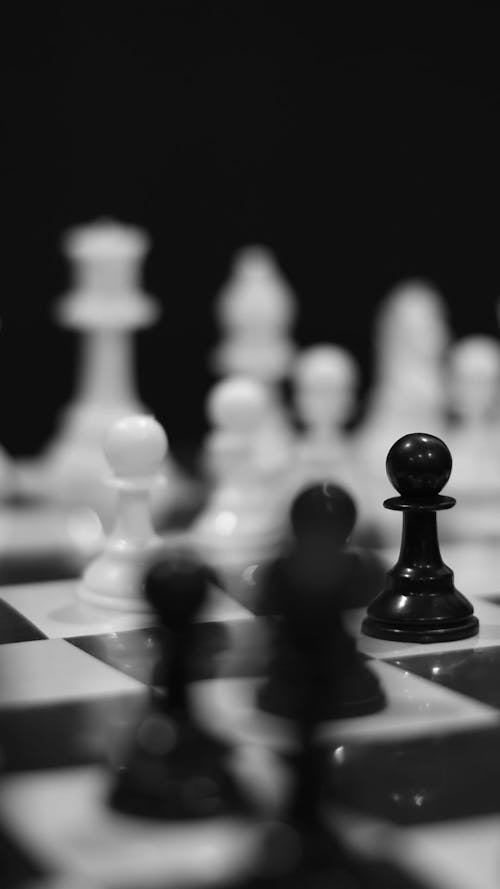 Chess pieces - Free HD Video Clips & Stock Video Footage at Videezy!