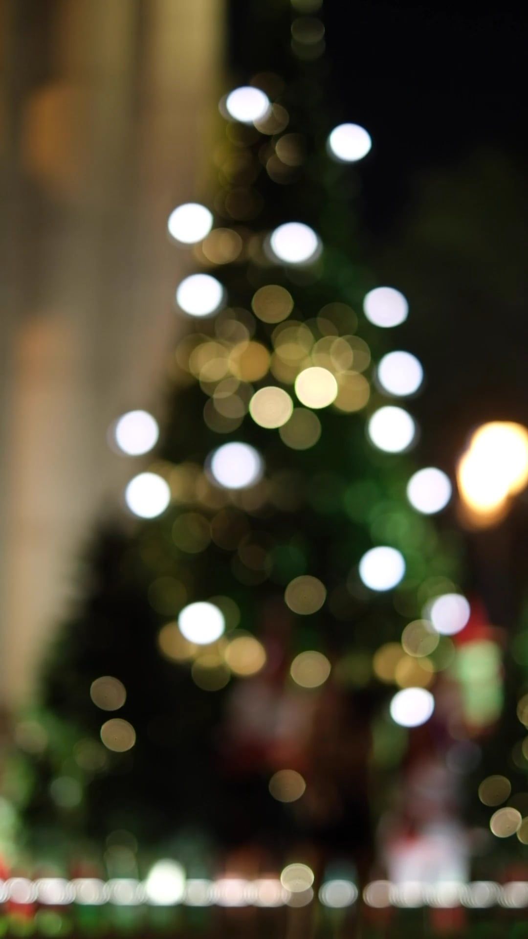 Blurry Video of a Christmas Tree wit Lights · Free Stock Video