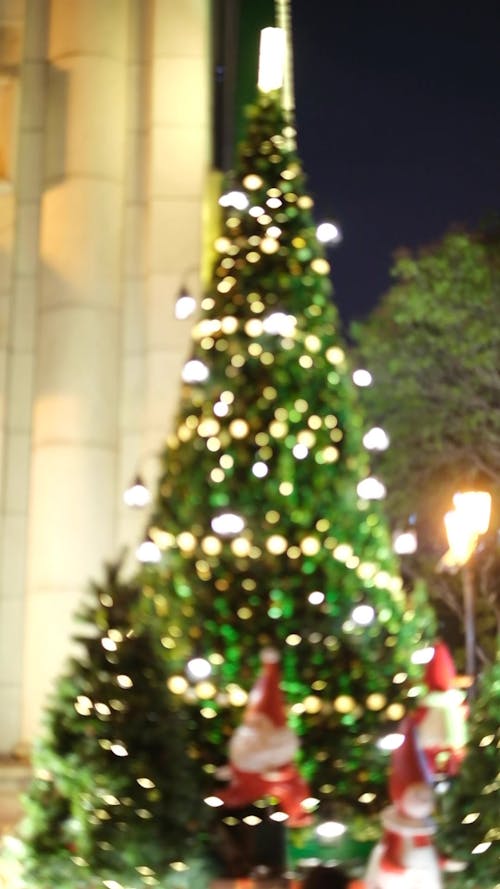 Blurry Video of a Christmas Tree with Lights