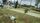 cat running