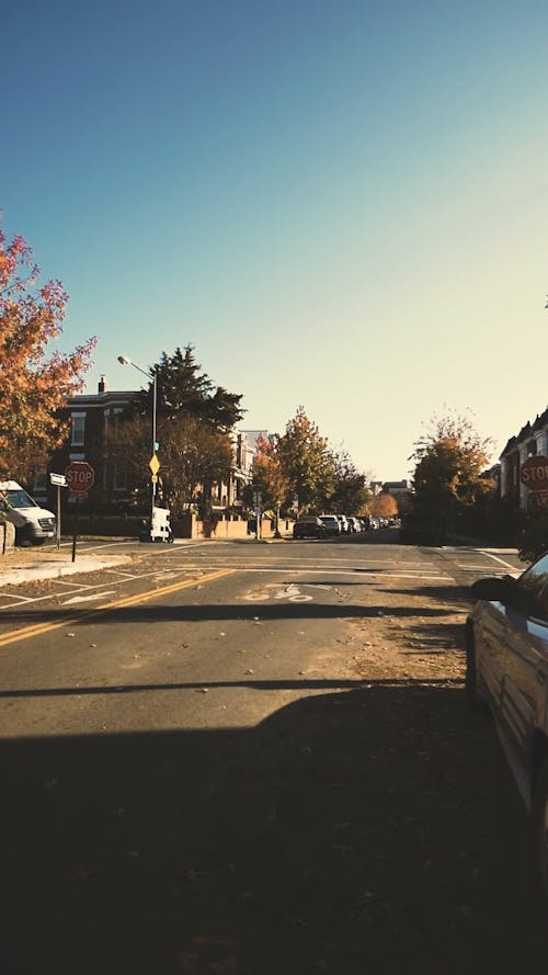 A Vertical Shot of a Person Crossing the Street