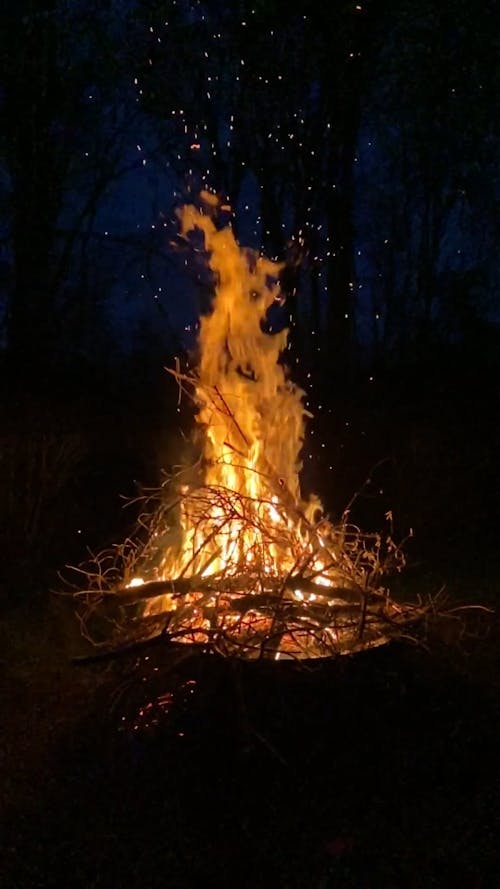 View of Burning Dried Twigs