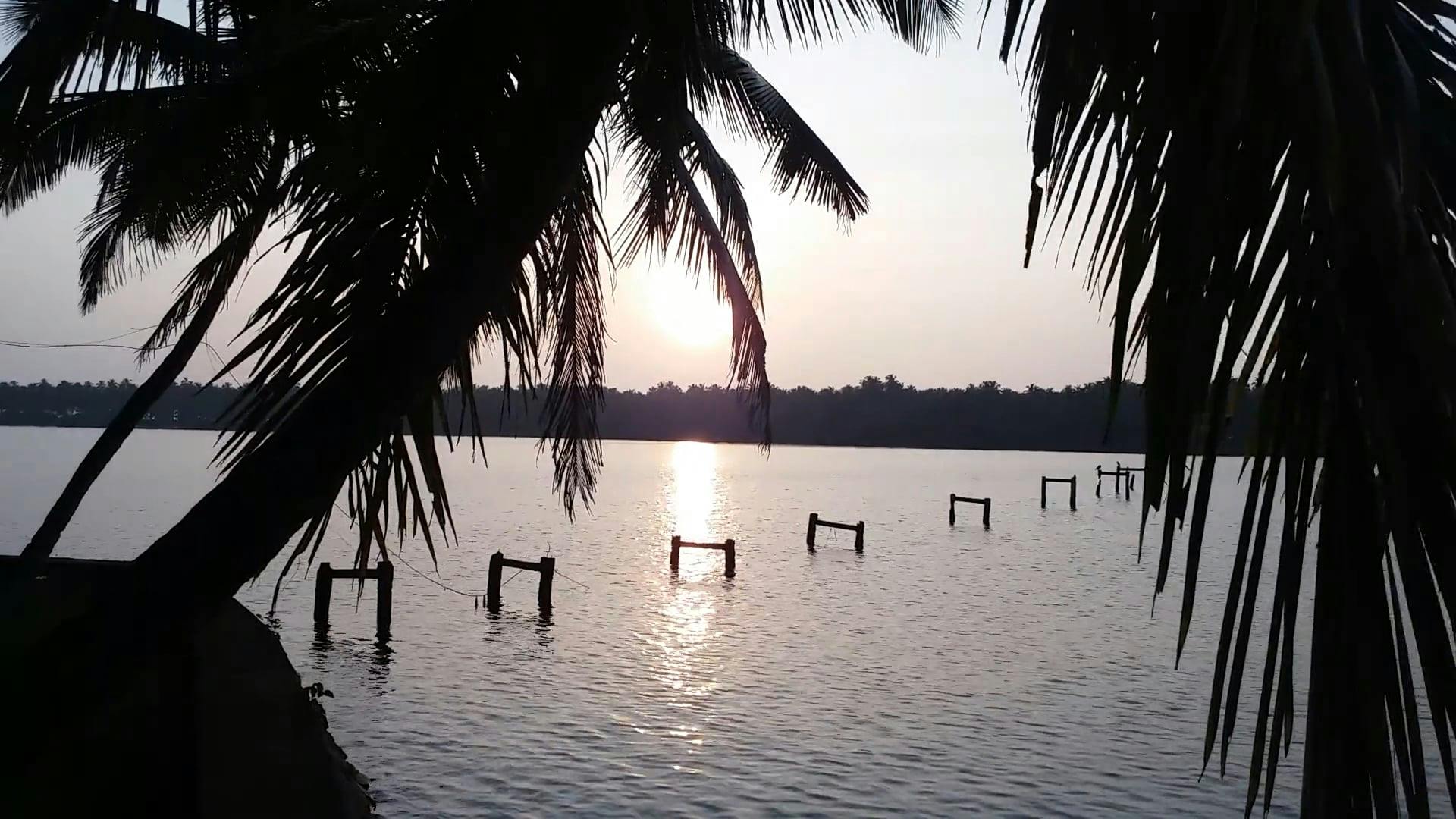 20+ Best Kerala Videos · 100% Free Download · Pexels Stock Videos