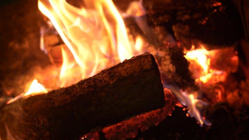Close-up Video of a Campfire