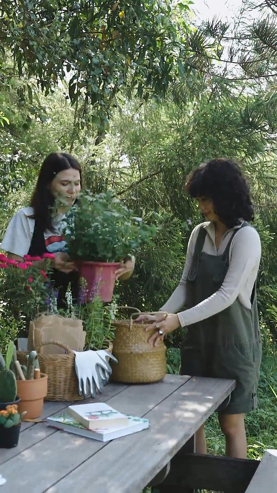 Two Women Putting Potted Plant in a Basket · Free Stock Video