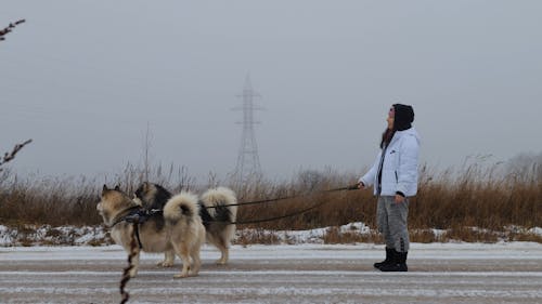 Woman Standing Outside with her Dogs during Winter