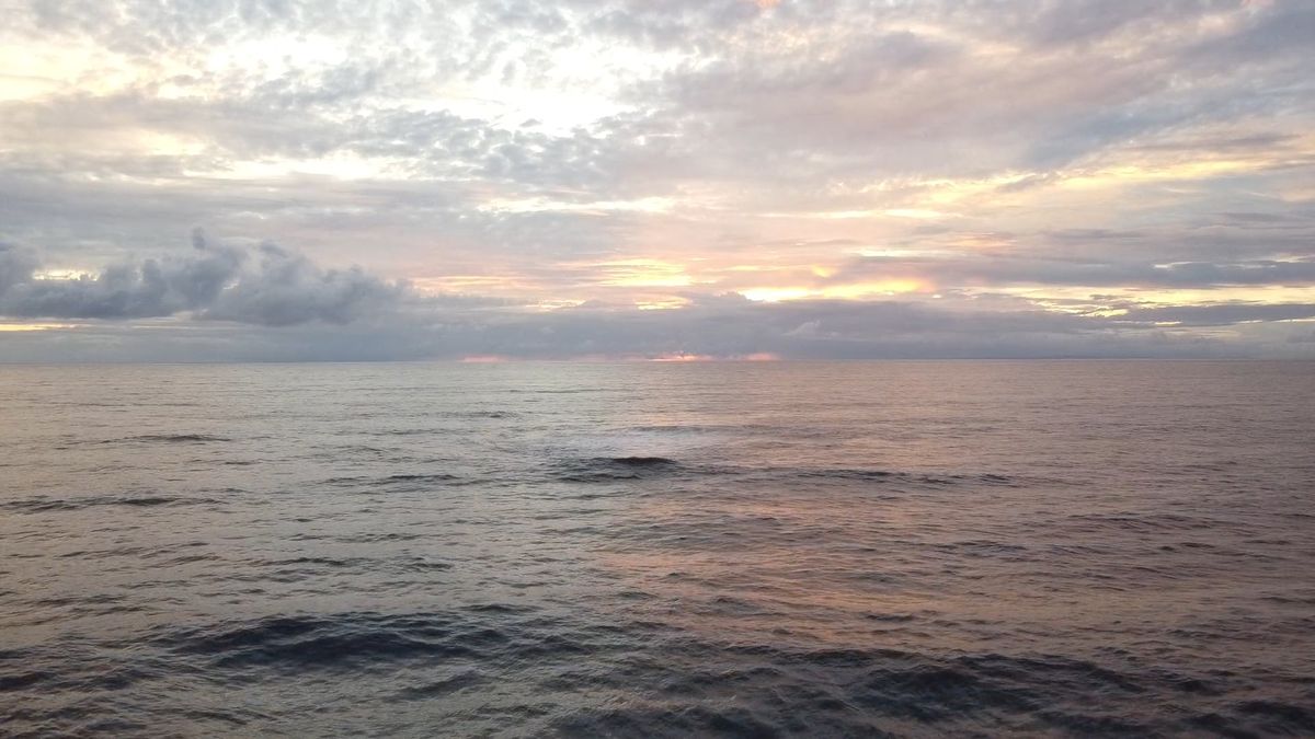 Indian Ocean Videos, Download The BEST Free 4k Stock Video Footage ...
