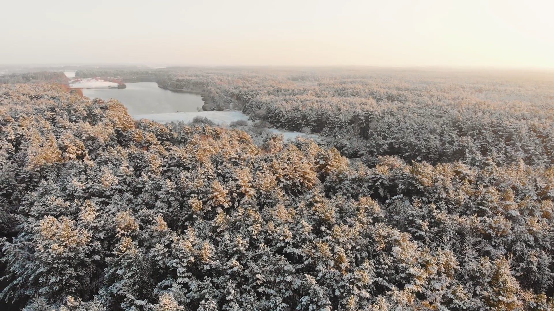 Drone Footage of Snow Covered Trees Free Stock Video Footage, Royalty ...