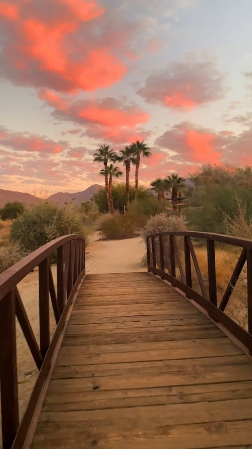 Sunset in the Dessert 