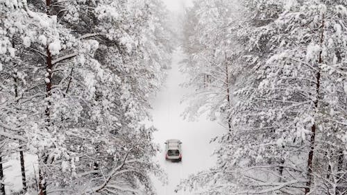 Drone Video of a Vehicles on a Snowy Path through the Forest