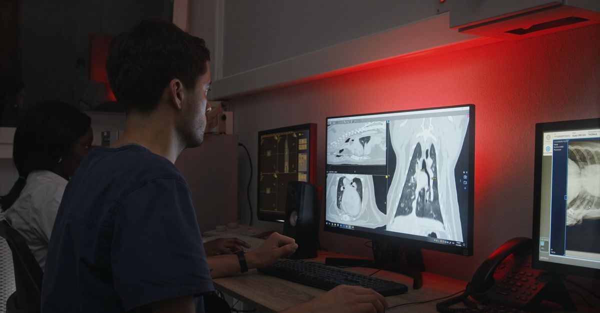 Man Using Computer 4k Man using Computer Free Stock Video Footage, Royalty-Free 4K & HD Video ...