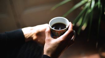手免费下载高清视频高清视频视频素材视频素材