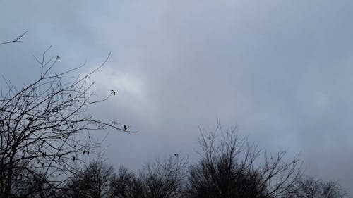 Time Lapse Video of the Sky