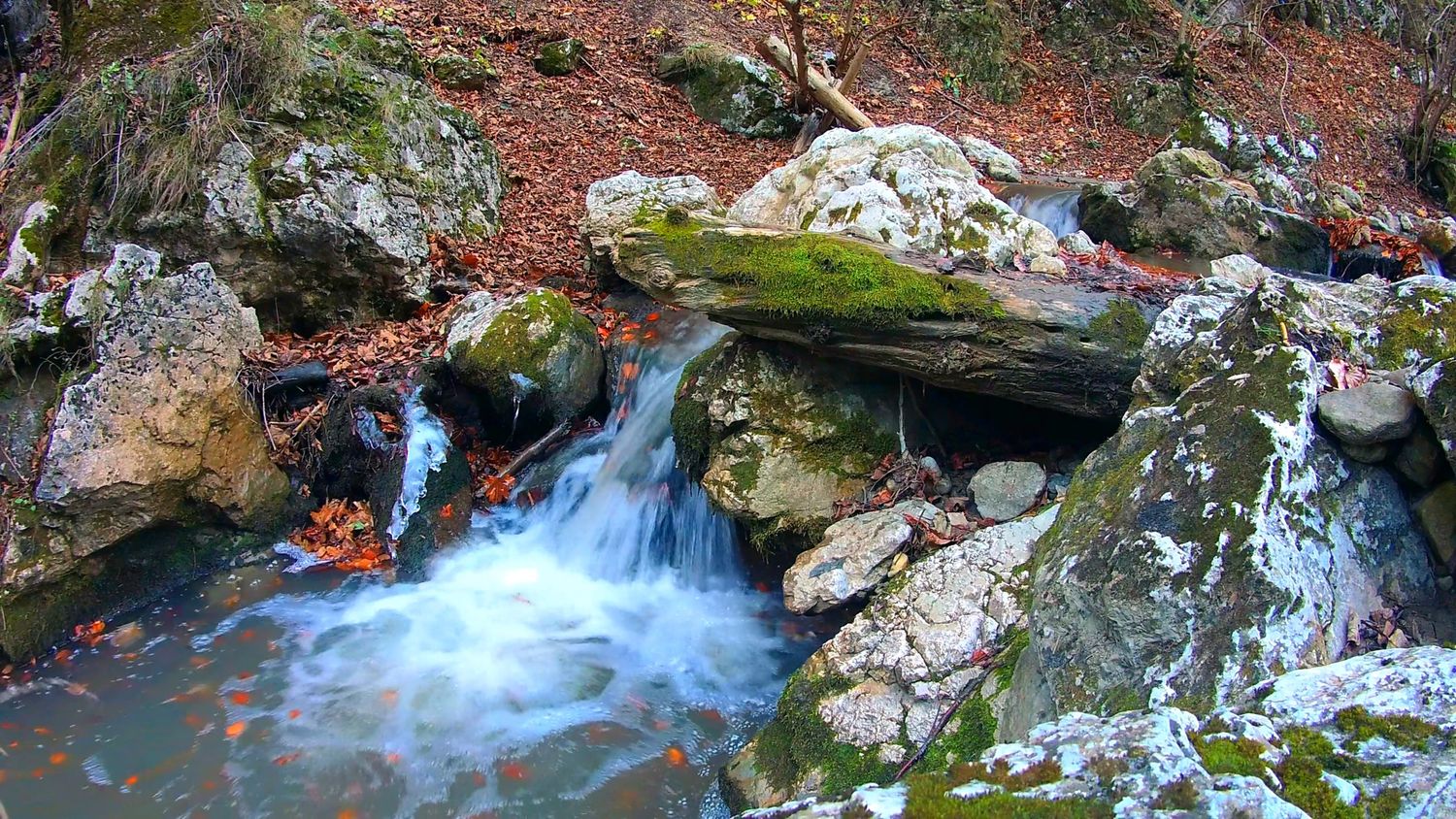 Beautiful Nature Videos, Download The BEST Free 4k Stock Video Footage ...