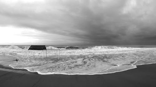 Grayscale Beach Waves