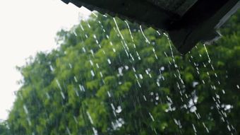 雨景高清视频视频素材