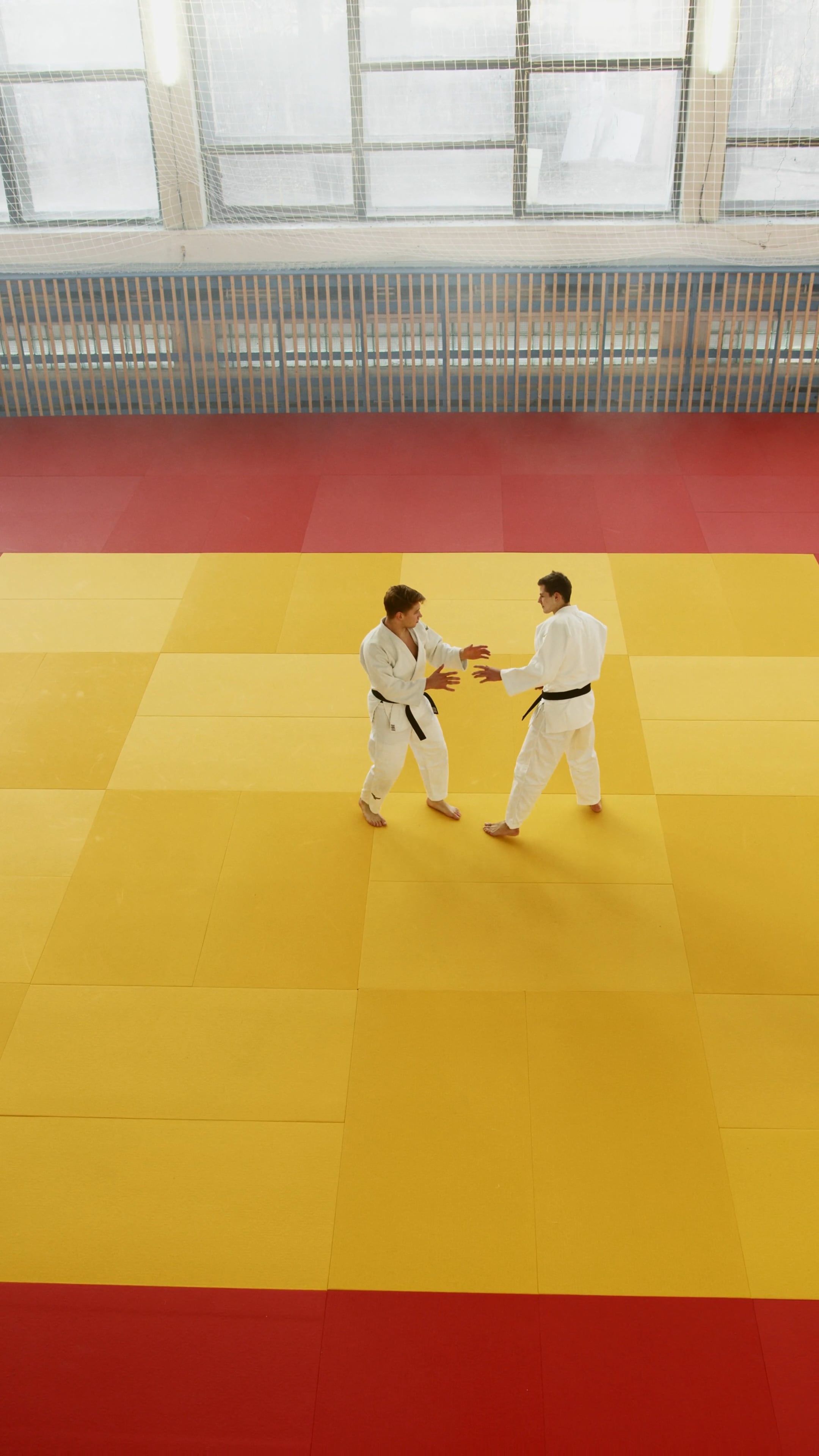 black-and-white-karate-videos-download-the-best-free-4k-stock-video
