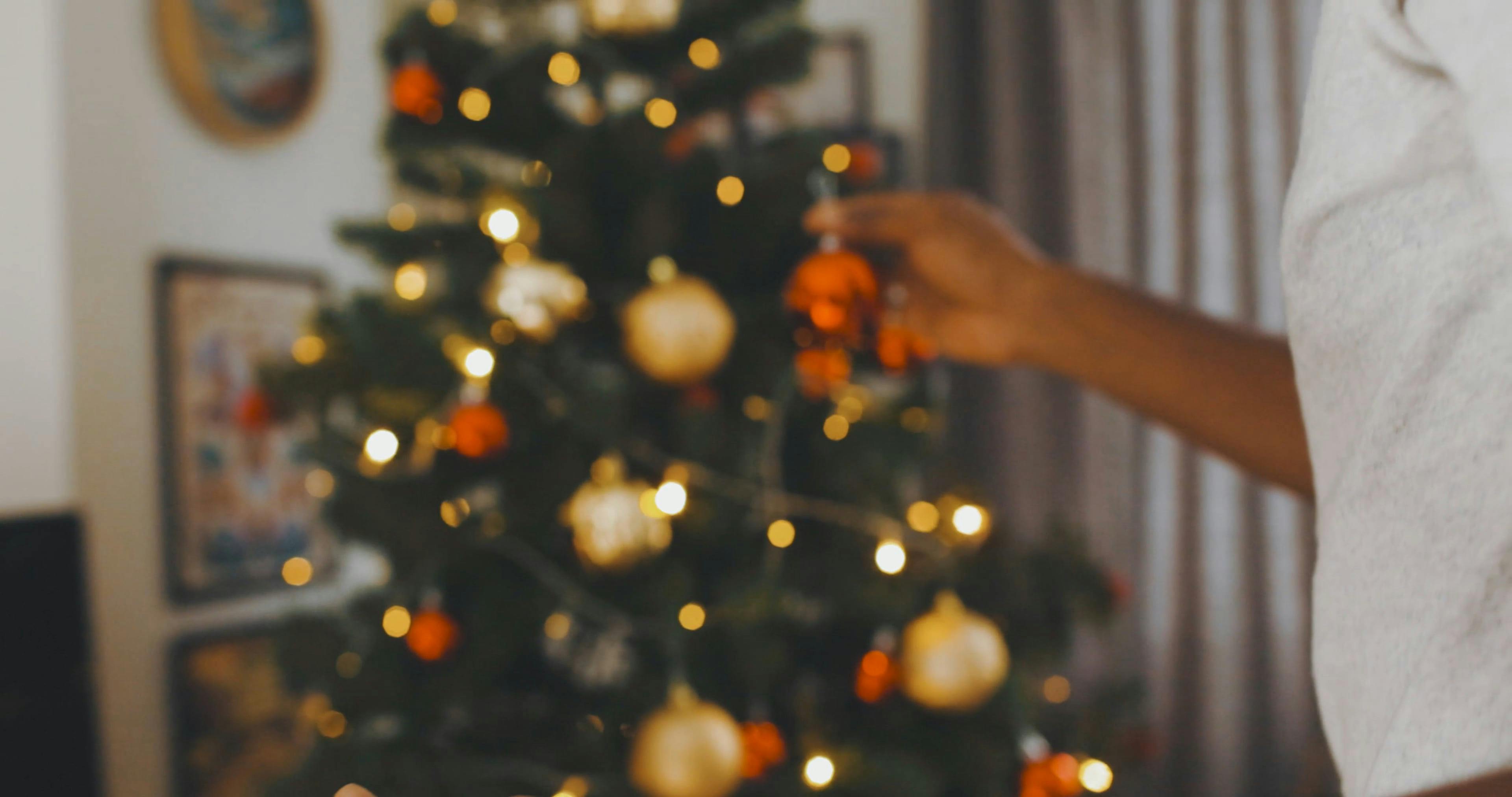 A Man Decorating the Christmas Tree · Free Stock Video