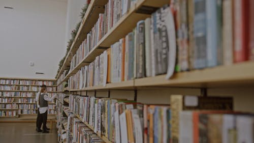 Distant People Looking at Bookshelf in Library