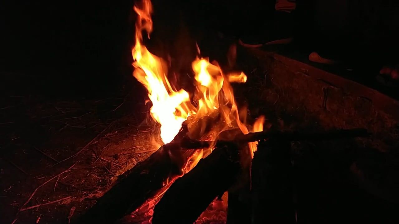 Close Up of Burning Woods Free Stock Video Footage, Royalty-Free 4K ...