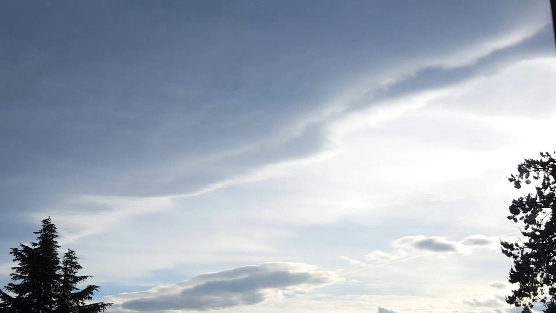 Video by ROCCO STOPPOLONI