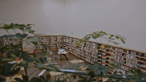 Man Working Inside of a Library
