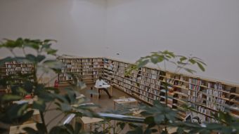 图书馆高清视频视频素材