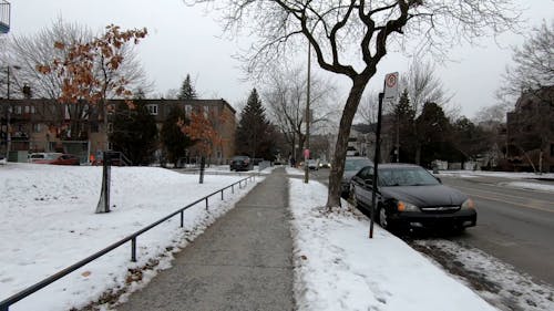 Video of a Road and Cars