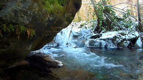 Forest River Flowing Through Rocks