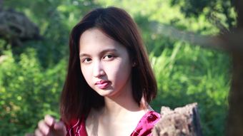 视频素材预览