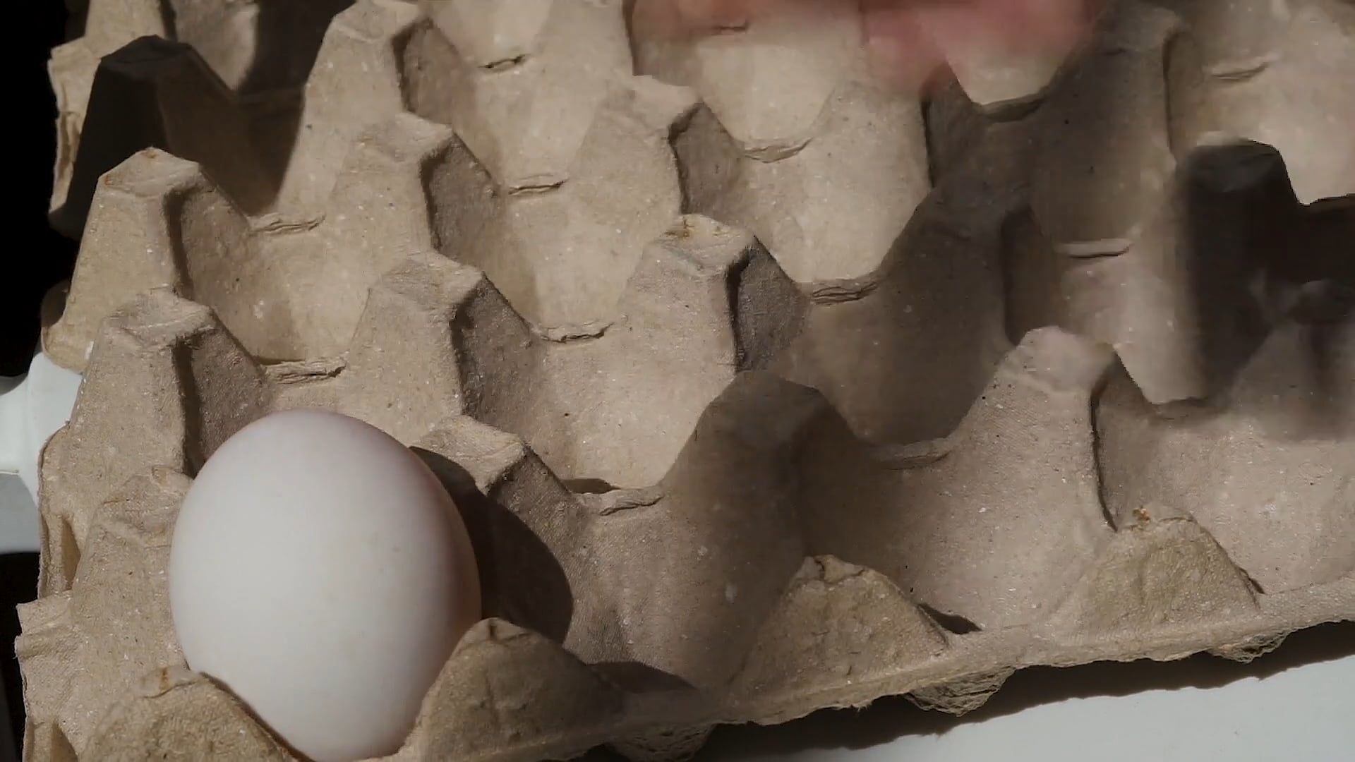 Egg Counting Videos, Download The BEST Free 4k Stock Video Footage ...