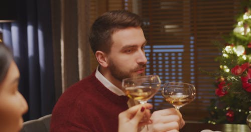 People Having a Toast Over Dinner